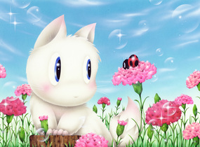 ショップ画像