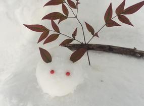 ショップ画像
