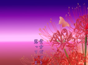 ショップ画像