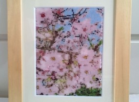 ショップ画像