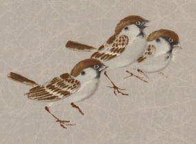 ショップ画像