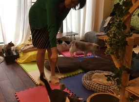 ショップ画像