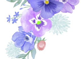 ショップ画像