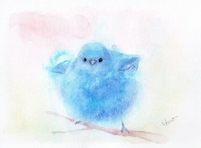 ショップ画像