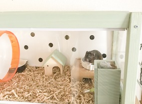 ショップ画像