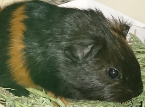 ショップ画像