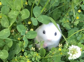 ショップ画像