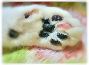 ショップ画像