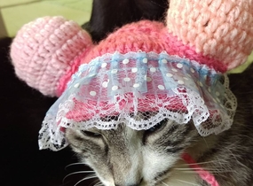 ショップ画像