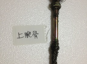 ショップ画像