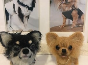 ショップ画像