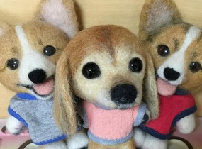 ショップ画像