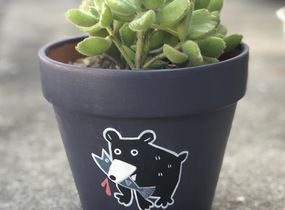 ショップ画像
