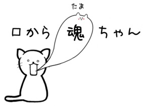 ショップ画像