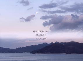 ショップ画像