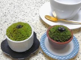 ショップ画像