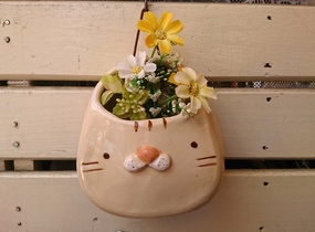 ショップ画像