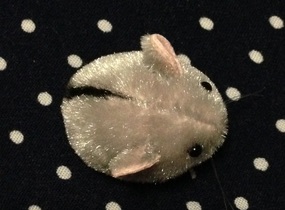 ショップ画像