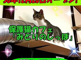 ショップ画像