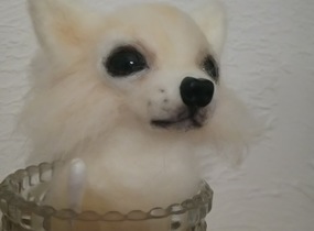 ショップ画像