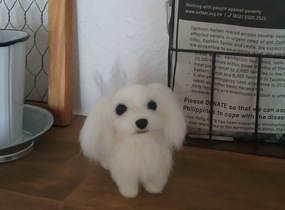 ショップ画像