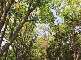 ショップ画像