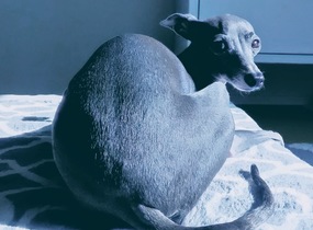 ショップ画像
