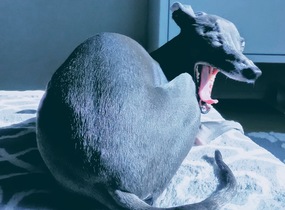 ショップ画像