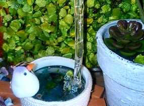 ショップ画像
