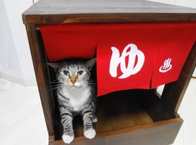 ショップ画像