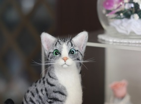 ショップ画像