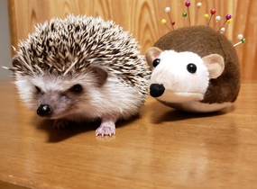 ショップ画像