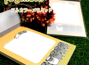 ショップ画像