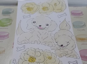 ショップ画像