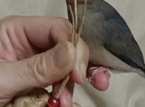 ショップ画像