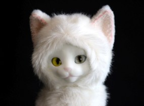 ショップ画像