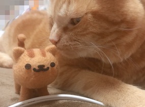 ショップ画像