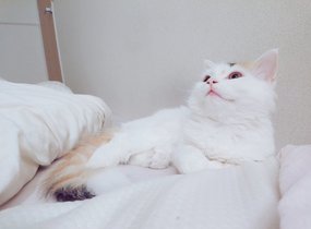 ショップ画像