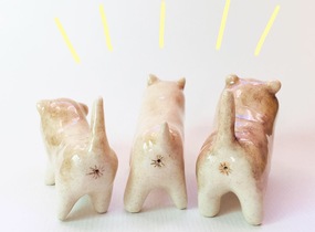 ショップ画像