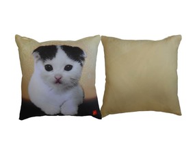 ショップ画像