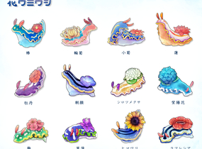 ショップ画像