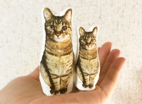 ショップ画像
