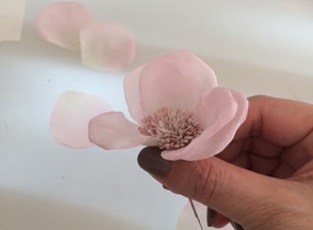 ショップ画像