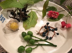 ショップ画像
