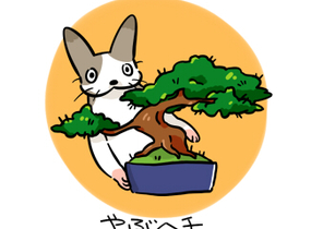 ショップ画像