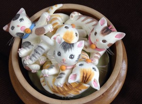 ショップ画像