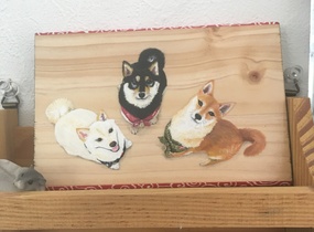 ショップ画像