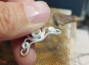 ショップ画像