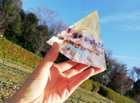ショップ画像