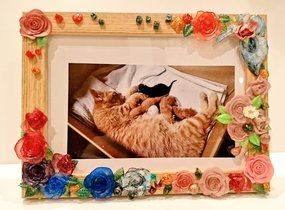 ショップ画像